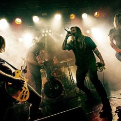 ¡Pendejo! + Baardvader