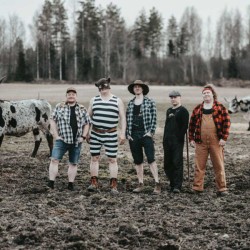 Steve 'n' Seagulls