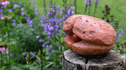 Beelden in Bloei 1.png