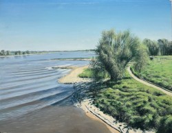 Foto Freek van Ginkel landscape.jpg