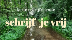 Untitled image (20).jpeg