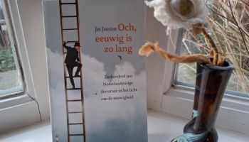 Literaire beschouwingen van Jos Joosten
