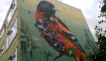 Top 10 artistieke en alternatieve spots in Nijmegen