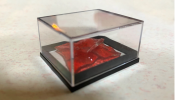 Kunstluis onthult: archeologie van de toekomst