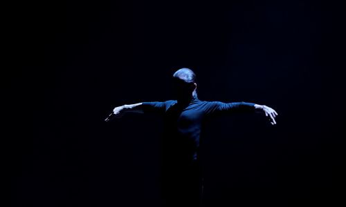 Flamenco: voedsel voor de ziel
