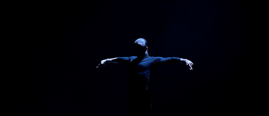 Flamenco: voedsel voor de ziel