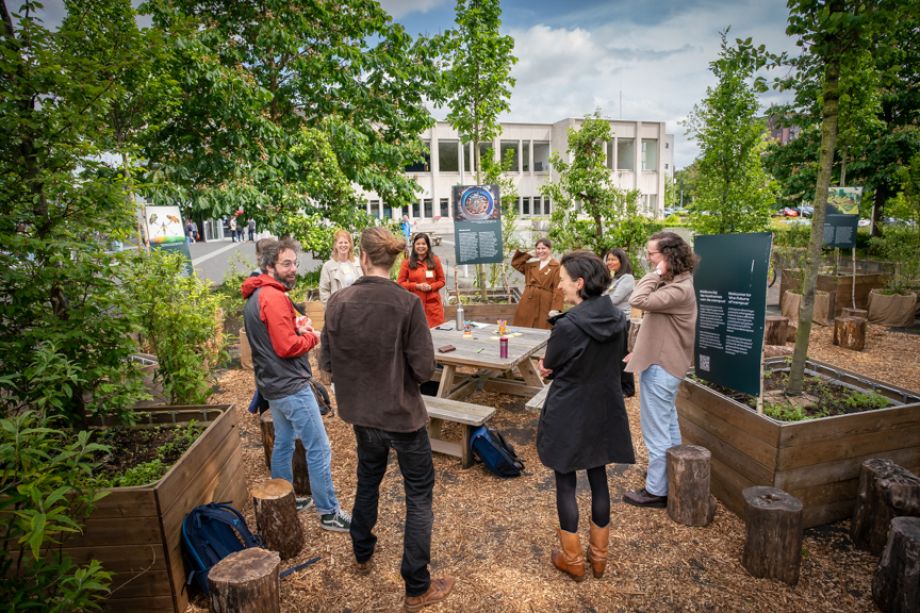 POP-UP BOS Mariënburg