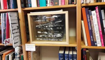 Boeken getransformeerd tot kunst