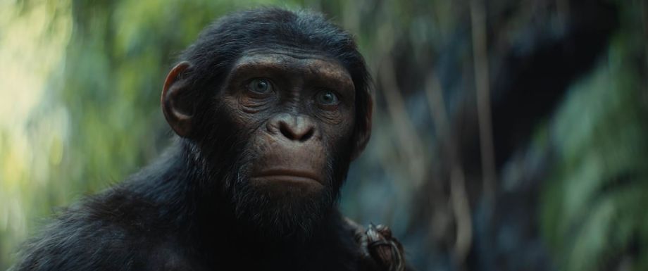 Gewichtloze cinema: Kingdom of the Planet of the Apes