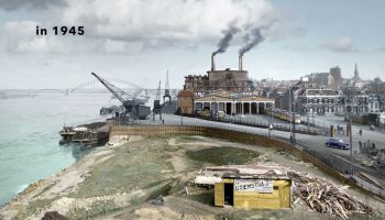 Nederlandse tops of flops